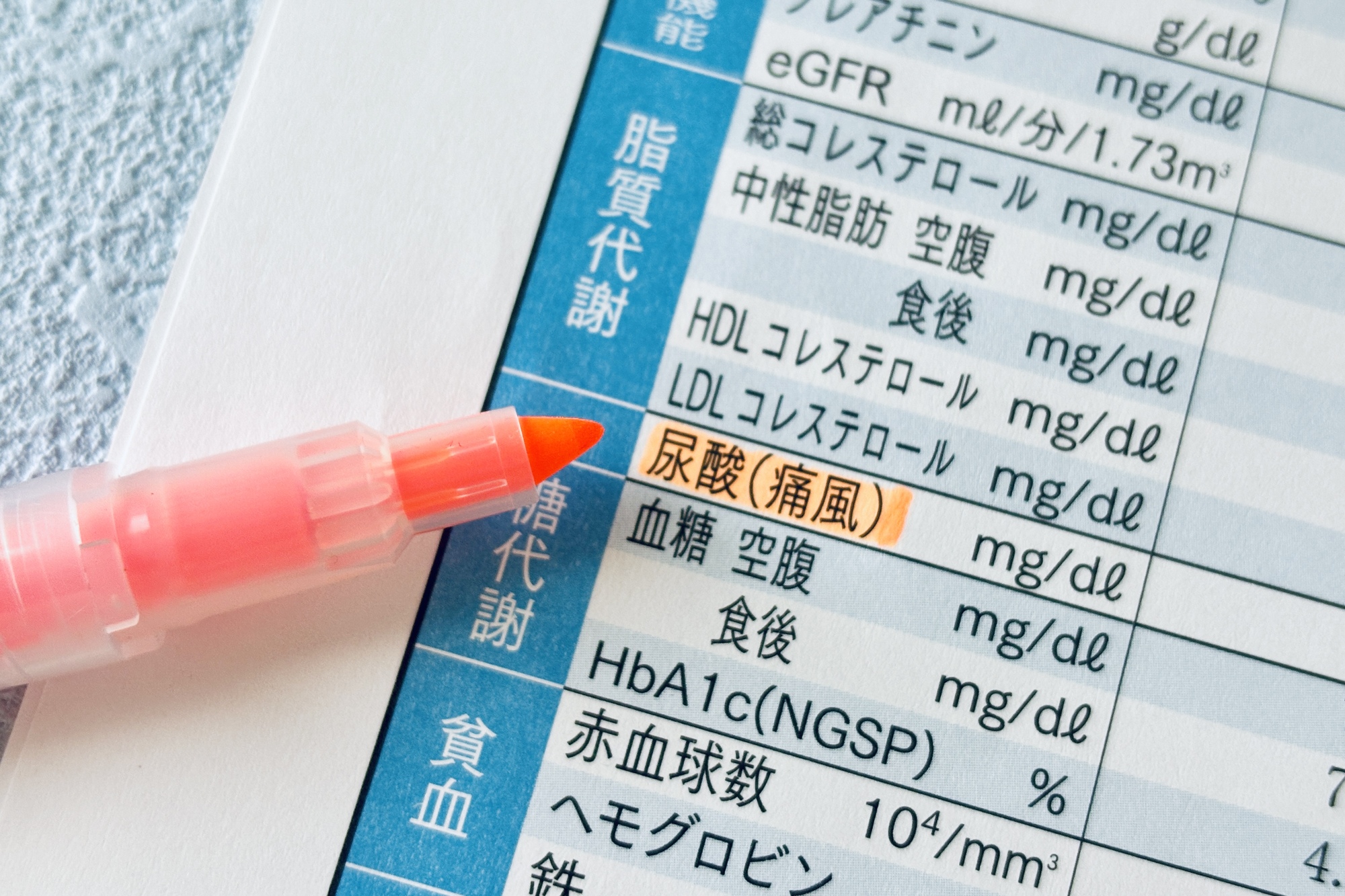 高尿酸血症（痛風）